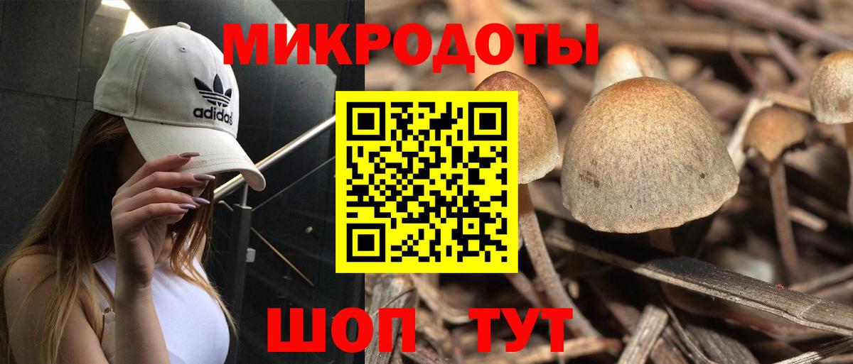 Галлюциногенные грибы прущие грибы Железноводск